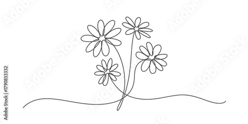 Continuous line art illustration of a minimalist floral bouquet with four delicate daisy-like flowers on a clean background, elegant nature. Vector