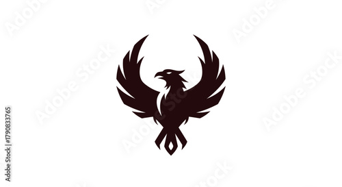 Silhouette of a soaring bird with outstretched wings on white background