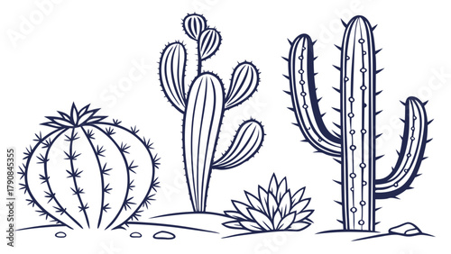 Minimalist Desert Cacti and Succulent Line Art Illustration for Botanical Web Design and Nature Inspired Branding