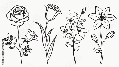 Elegant Floral Line Art Illustrations Set for Wedding Invitations Branding and Web Design Botanical Outline Drawings for Graphic Projects