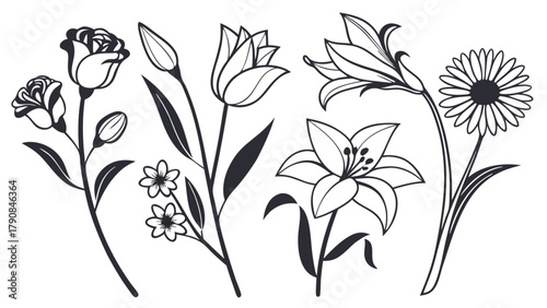 Elegant Black and White Line Art Floral Set Botanical Outline Illustrations for Graphic Design Web Print Invitations Logos