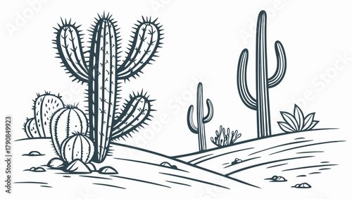 Hand Drawn Desert Landscape with Cacti and Succulents for Nature Travel Web Design and Environmental Education