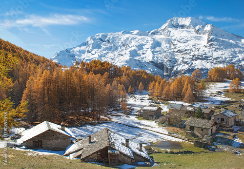 view on alpine village the Monal  with golden larch trees in forest and snowy...