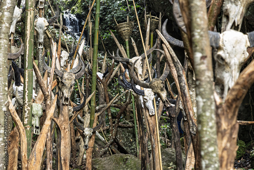 View of weathered animal skulls impaled on wooden stakes create an eerie totem forest against a backdrop of lush green foliage, Muyiji Sacred Valley, Yunnan, China.
