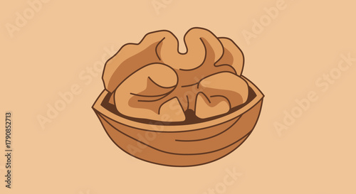 A Delightful Cartoon Illustration Of A Walnut Kernel In Its Lovely Shell