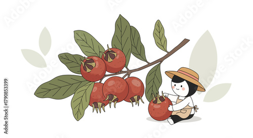 A Gardener Harvests Freshly Grown Fruits From The Branch Of A Plant In Summertime