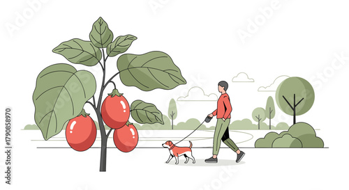 A Person Walks A Dog Near A Tomato Plant With An Illustrated Park Background