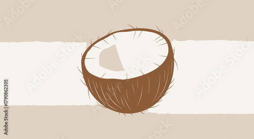 Abstract Coconut Halved Illustration Against A Neutral Background for Trendy Design
