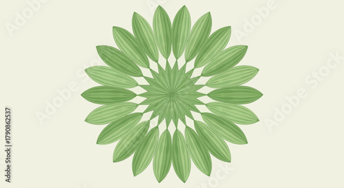 Abstract Foliage of Symmetry in Nature with a Combination of Light Green Colors