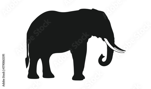 Black silhouette of an african elephant standing