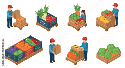 Isometric market scenes people organizing fruit and vegetable crates in various arrangements