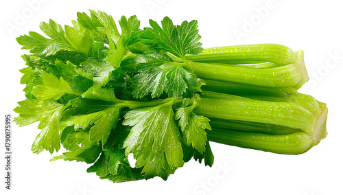 Celery stalk with leaves close up, Fresh organic celery vegetable