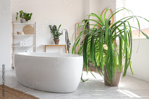 Interior of light bathroom ...