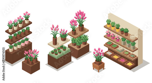 Isometric indoor garden display with potted plants and succulents on shelves