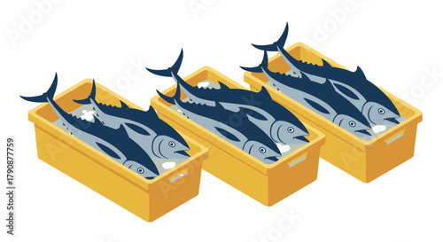 Freshly caught tuna in yellow containers isometric design