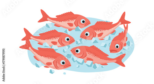 Group of fresh red fish surrounded by ice cubes on a light blue background