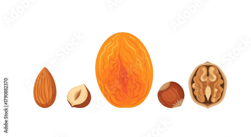 Assortment Of Fresh Nuts In An Elegant Arrangement On Black Background