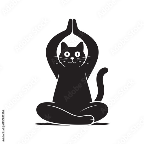 Black cat in yoga lotus position feline meditating with hands in prayer pose