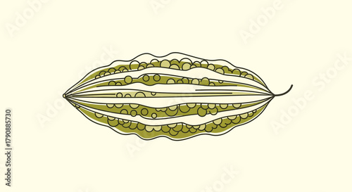Bitter Melon Illustration: A Graphic Representation of Culinary and Nutritional Significance