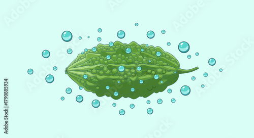 Bitter Melon Surrounded By Water Bubbles, Fresh Food Isolated on Light Blue Background