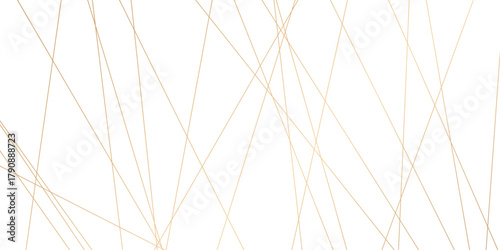 Abstract background with lines. Golden lines on White paper. Line wavy abstract vector technology line pattern background.