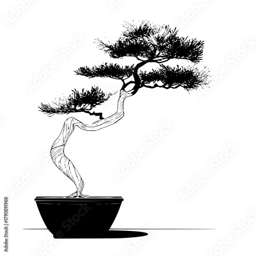 A black and white drawing of a bonsai tree in a pot with a shadow on a white background image view