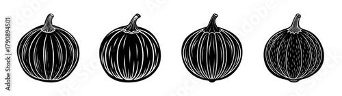 Black and white vector illustration of cardamom pods spices cooking ingredient culinary herb spice