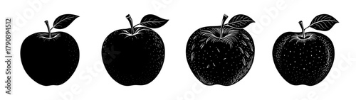 Apple fruit illustration black and white drawing organic food design healthy eating fresh produce art