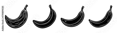 Banana fruit vector illustration, healthy tropical fruit, food clip art, black and white design