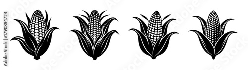 Black and white corn stalks vector illustration for agriculture and harvest season design elements