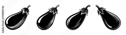 Black and white eggplant illustration vector drawing of fresh aubergine vegetables organic food art
