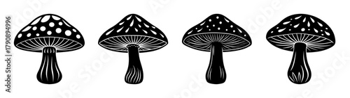 Black and white mushroom illustration set, vintage fungus drawing, botanical forest fungi art print