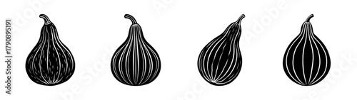 Black and white graphic illustration of zucchini squash vegetable food ingredient vector drawing art