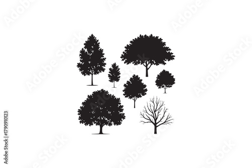 Sycamore Maple garden of tree vector silhouettes black image. .eps
