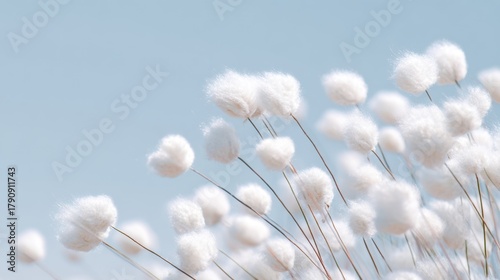 Delicate white flowers resembling cotton bloom gracefully against a clear blue sky. The scene captures a peaceful spring day filled with soft light and tranquility.