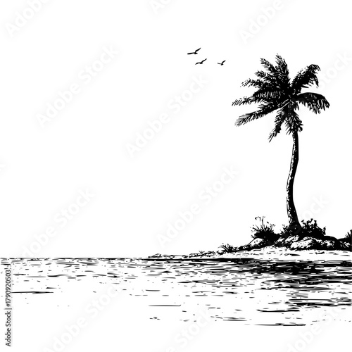 Illustration of a palm tree on a beach with birds flying overhead in a black and white ink drawing style