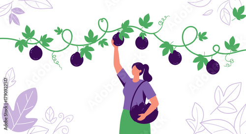 Woman Harvesting Fruit From Tree Branch With Passion Fruit Illustration Design Aesthetic