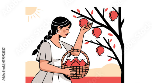 Woman Harvesting Pomegranates During Daytime Sunlight Fresh Fruit and Agriculture Illustration