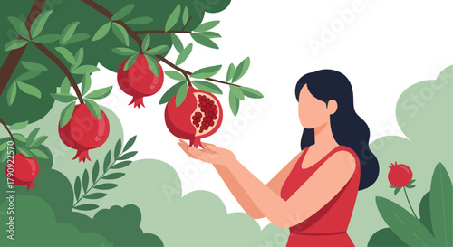 Woman Harvesting Ripe Pomegranates From A Lush Tree In The Garden Scene Artwork