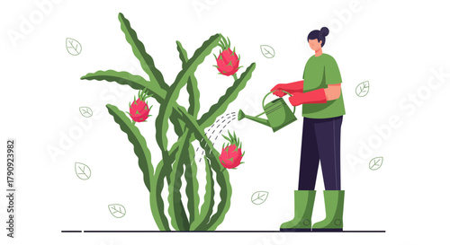 Woman Nurturing Dragon Fruit Plant With Water Can In An Illustration Style