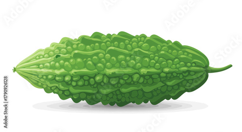 Vibrant Illustrated Bitter Gourd Fruit Isolated On White Background With Subtle Shadows