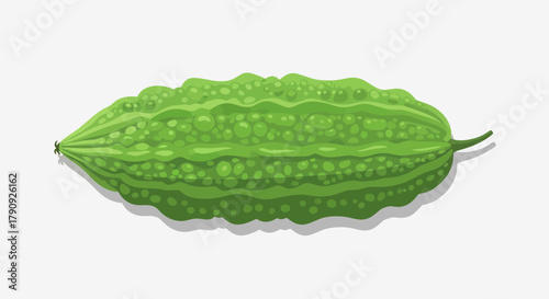 Vibrant Illustrated Bitter Melon on White Background with Drop Shadow Aesthetic
