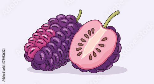 Vibrant Illustration of Freshly Cut Mulberry Fruit Showing Inner Details on a Light Background
