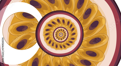 Vibrant Illustrated Passion Fruit Sectional Displaying Internal Spiraling Patterns
