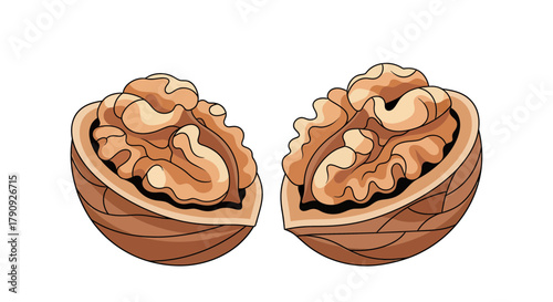 Vibrant Image Showcases Split Walnut Halves Displaying Rich Details on White Background