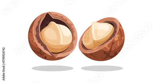 Vibrant Macadamia Nuts Illustration Showing Details in Realistic and Nutritious Food Form