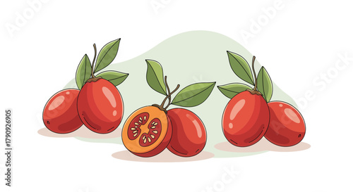 Vibrant Illustrated Tamarillo Fruits Depicting Freshness and Dietary Aspects, Vector Art