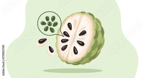 Vibrant Illustration of a Custard Apple with Seeds on a Light Green Background