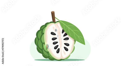 Vibrant Illustration Of A Freshly Cut Custard Apple Showcasing Its Delicate Details