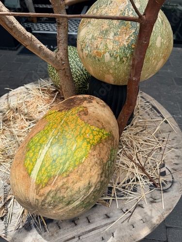 Calabaza